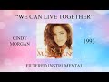 Cindy Morgan - We Can Live Together (Filtered Instrumental)