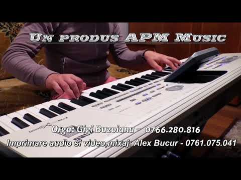 2018 SARBE SI HORE LA ORGA CEL MAI FRUMOS DUET COLAJ SARBA SI HORA INSTRUMENTALA LA ORGA