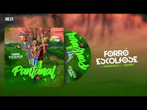 FORRÓ ESCOLIOSE-PANTANAL