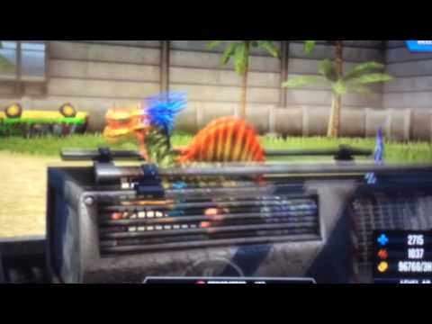 My level 40 spinoraptor