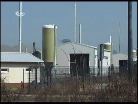 Rätsel um Gasgeruch in Bitterfeld - RAN1