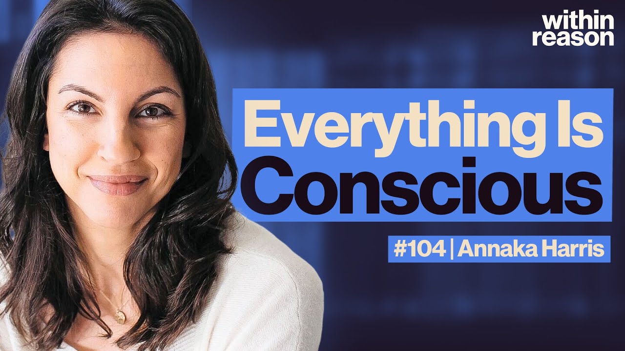 Is Consciousness Fundamental? - Annaka Harris