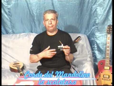 come amplificare il Mandolino acustico