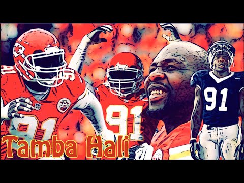 The TambaHawk - Tamba Hali Career Highlights