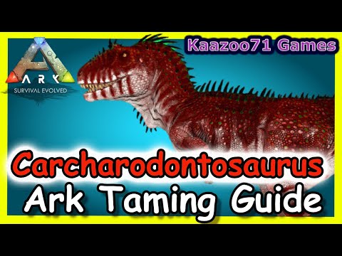 Ark How to Tame a Carcharodontosaurus 💥THE REAL WAY