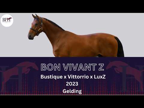 Bon Vivant Z