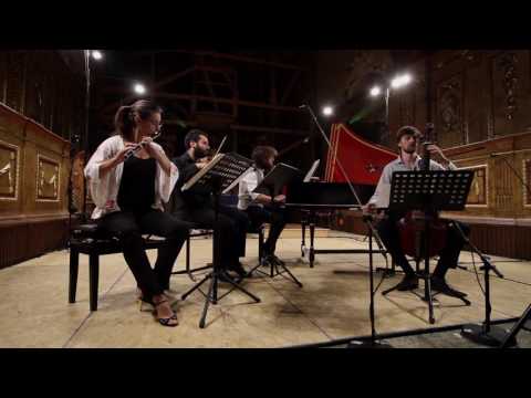 J. S. Bach: Trio Sonata no. 5 in C Major BWV 529 (Allegro) | Nevermind