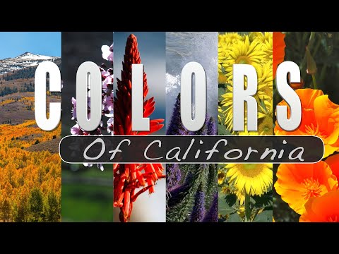 Colors of California