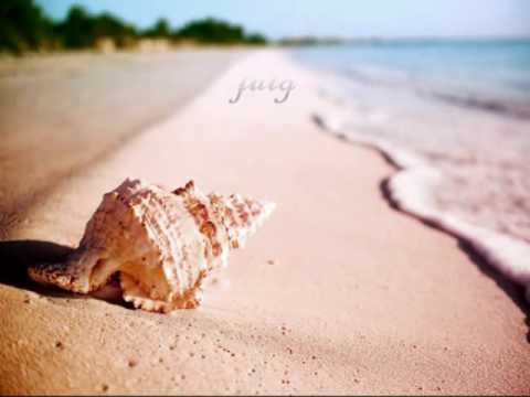 DJ CYBorg and Sw33t aS a LeMoN-Undeva..