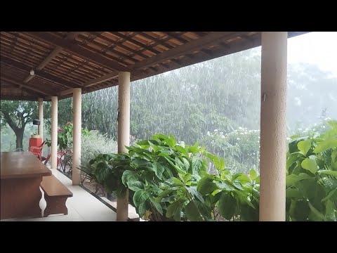 Chuva maravilhosa aqui no sertão cearense Porteiras Ceará 