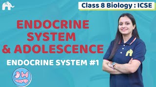 Endocrine System & Adolescence Class 8 ICSE Biology Chapter 5 | Selina | Endocrine System #1