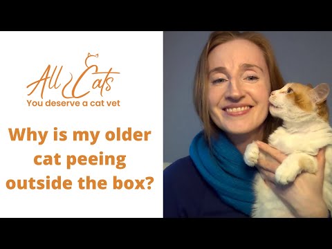 Why is my older cat peeing outside the box?