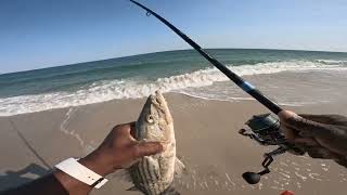 Fish Caught On Tiny Lure - Long Island Surf Fishing - May 10, 2023