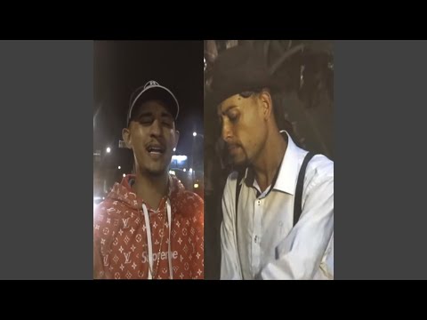 800 Mil Anos de Evolução