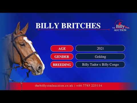 Billy Britches