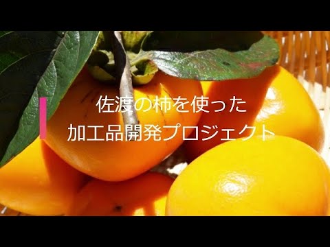 NAFUプロジェクト_佐渡の柿　果実加工品開発プロジェクト