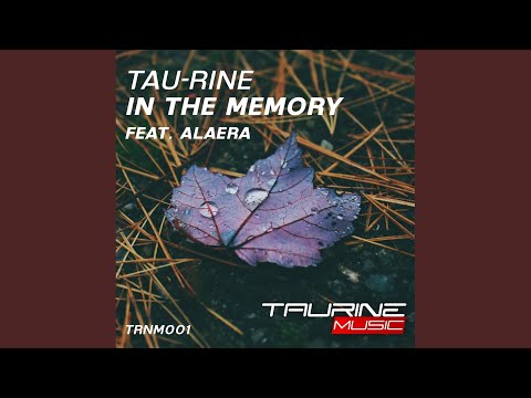In The Memory (Original Mix)