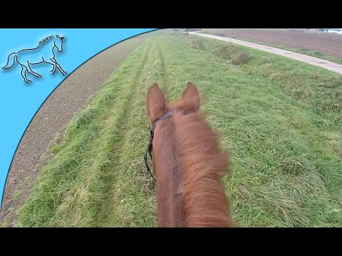 Gelände, Springplatz und Stall - Test mit der GoPro Hero 4 / Horseriding
