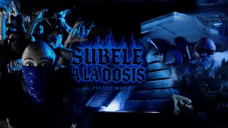 Download lagu EL Mara - Súebele a la Dosis (Video Oficial) mp3 Download lagu EL Mara - Súebele a la Dosis (Video Oficial) mp3