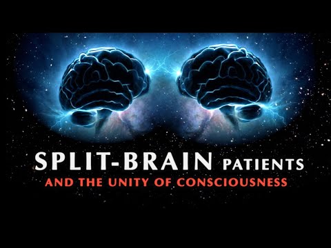 Consciousness, Split-Brain Experiments, and Combining Minds | Documentary