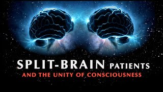 Split-Brain Patients and the Unity of Consciousness | Documentary