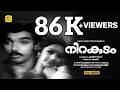 നിറകുടം Nirakudam Kamal Haasan Sreedevi Sudeer Reena Evergreen Romantic SuperHit Full 