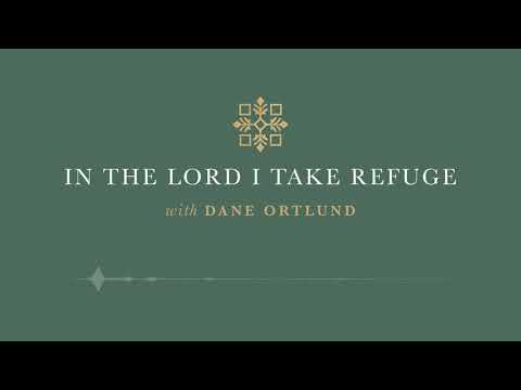 In the Lord I Take Refuge: Psalm 49 - Why Should I Fear in Times of Trouble?