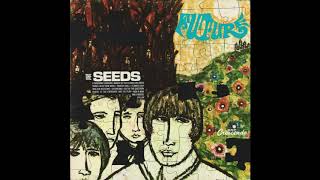 The Seeds - Two Fingers Pointing on You (mono mix)