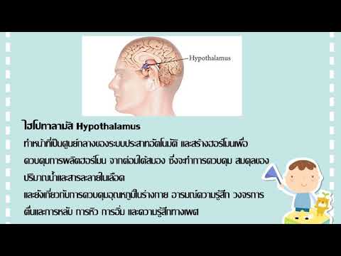 Neurodermatitis ไนโตรเจนเหลว ครีมสำหรับโรคสะเก็ดเงิน ฯลฯ
