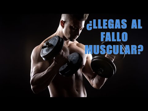 Llegar al fallo muscular