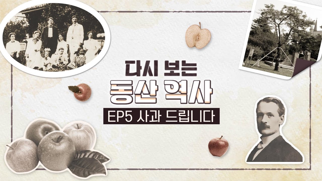 [다시보는 동산역사] ep.5 사과 관련사진