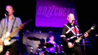 BuZZcocks in Carlisle When love turns around