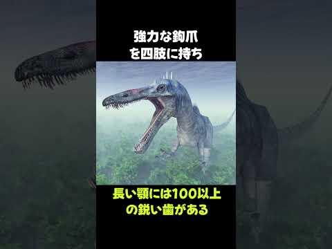 スピノマンティス・フィブリアトゥス