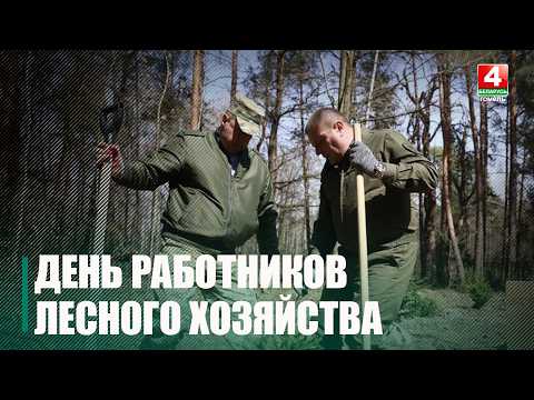 Лукашенко поздравил работников и ветеранов лесного хозяйства с профессиональным праздником