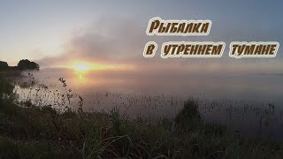 Рыбалка в утреннем тумане