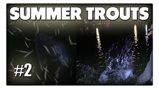 Meerforellen im Sommer - Nachtangeln im Reich der Opalwürmer