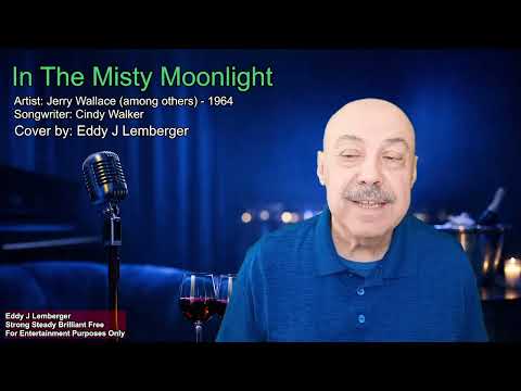 In The Misty Moonlight - Cover