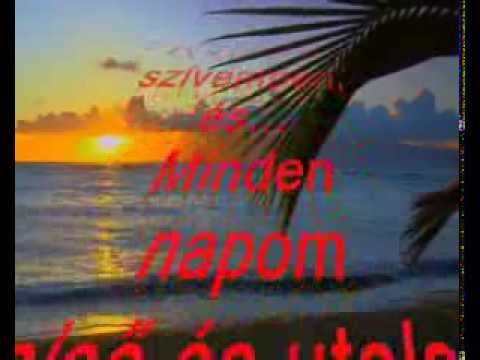 Szeretlek teljes szívemből