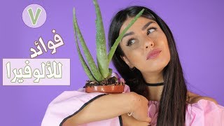 استعمالات جمالية للألوفيرا