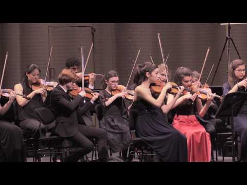 L. van Beethoven: Symphony No. 7 in A-Major, op. 92 - IV. Allegro con brio