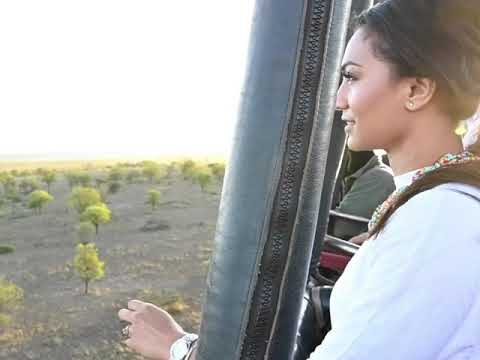 Tanzania Luxury Wildlife Migration Safari
