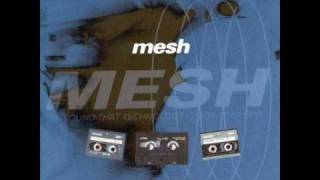 mesh / time enough
