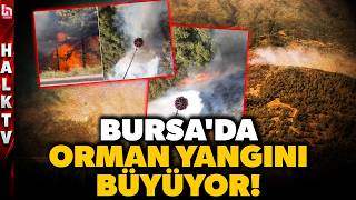 SON DAKİKA! BURSA'DA KORKUTAN ORMAN YANGINI! Alevler bir anda yükseldi