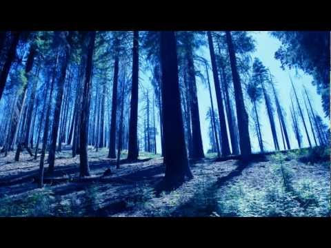 Iwaro - Exomoons (Original Mix)