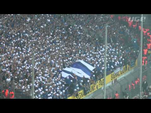 Nordkurve Gelsenkirchen: Derbysieger!