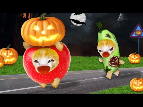 🎃 Escapes From Zombie Banana Cat Attacks on Halloween Night! 🍌👻 Banana Cat Compilation | Cat MEME 😿
