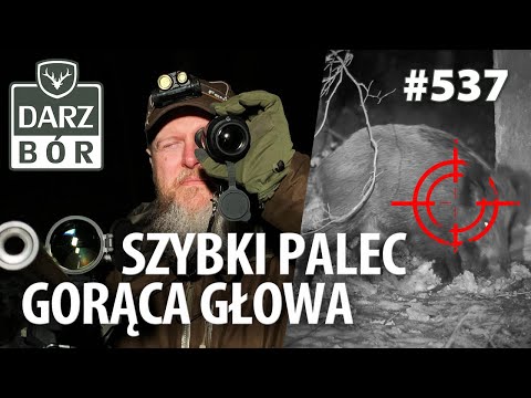 Darz Bór odc 537 - Czy zawsze trzeba strzelić? Dylematy na polowaniu!