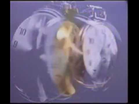 RETRO CLASSIC TECHNO #Quench - Dreams (original mix) unofficial videoclip _1993_