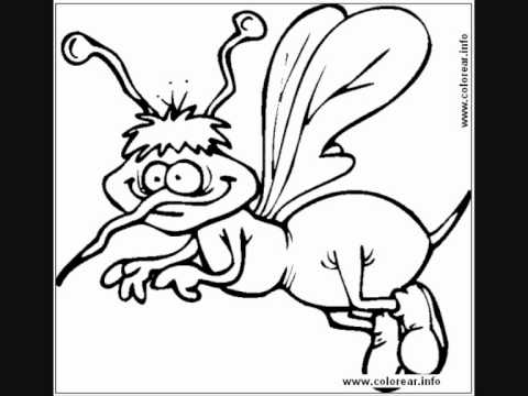 El guacho bataraz - el mosquito