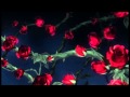 Предательство знает моё имя - Invisible 